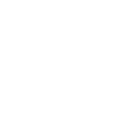 SVT Nexus